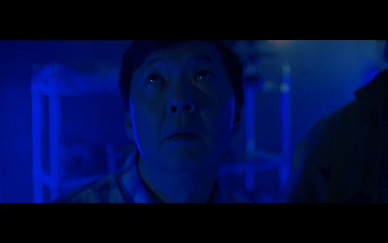 Occupation: Rainfall (2020)