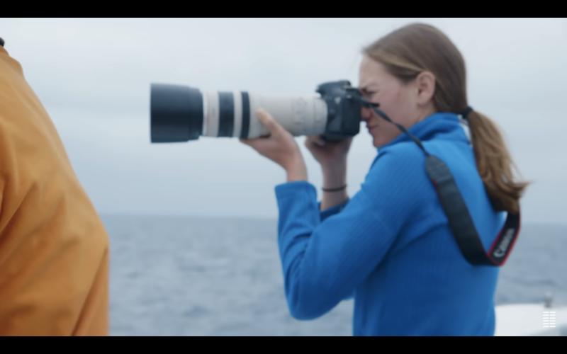 The Loneliest Whale: The Search for 52 (2021)