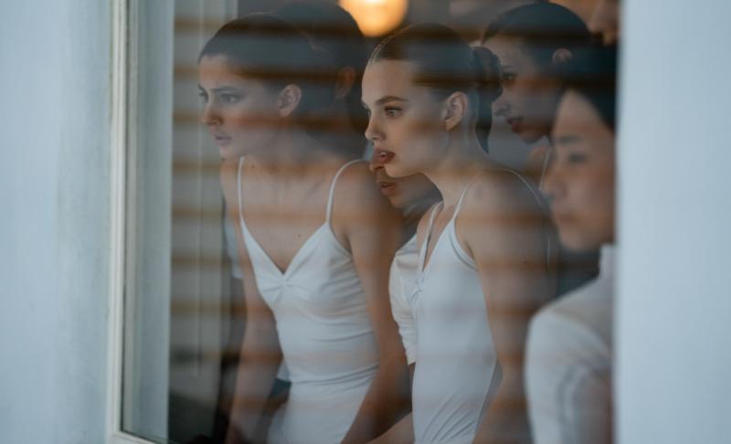 Birds of paradise (2021)