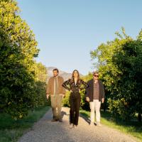 Frutos del viento (2022)